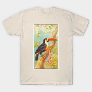 Toco Toucan T-Shirt